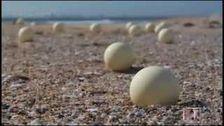 How Old is the Sunlight Reaching Us?