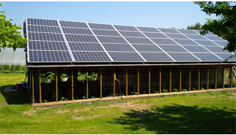 solar-panel-greenhouse