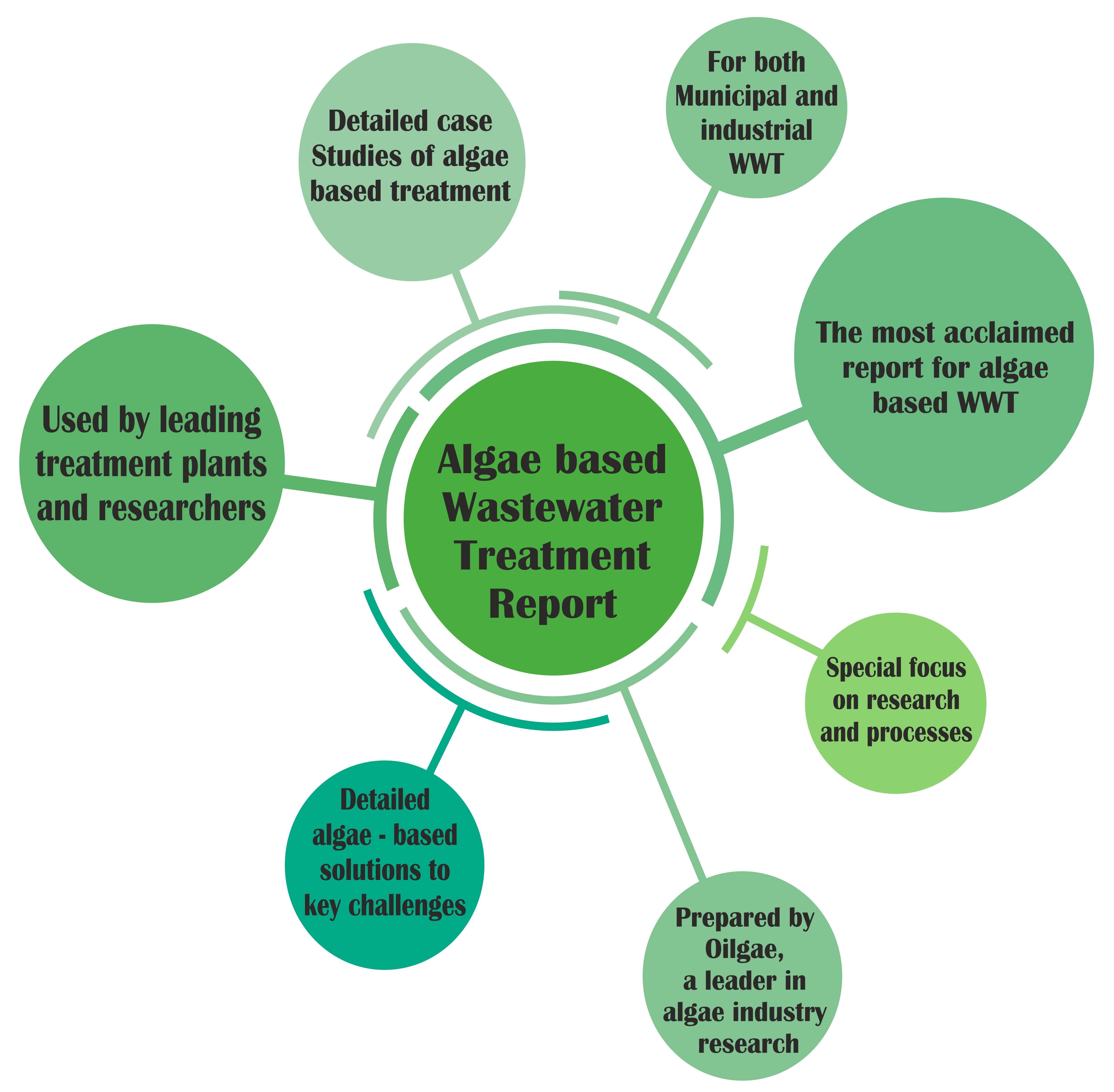 Schematic representations of Oilgae Waste Water Treatment Report