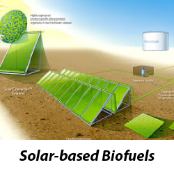 Solar-based Biofuels