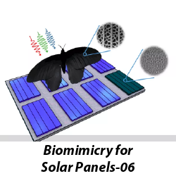 biomimicry-solar-panels